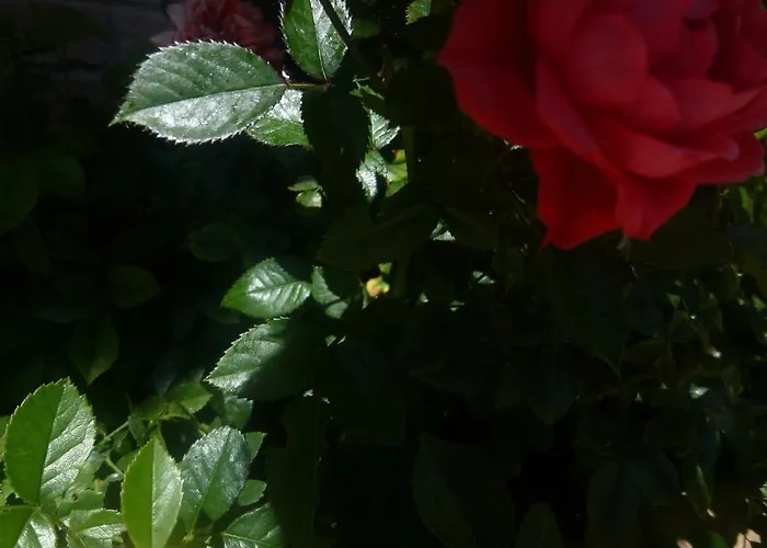 ベッド・アンド・ブレックファスト Casa Campiglione バスティーア・ウンブラ